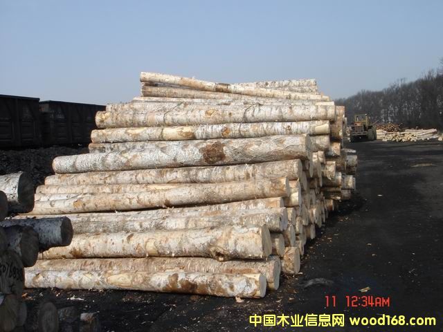 ����鿴��Ƥ����Ŵ�ͼƬ