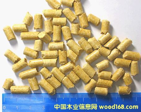 ����鿴ľм����ȼ�ϷŴ�ͼƬ