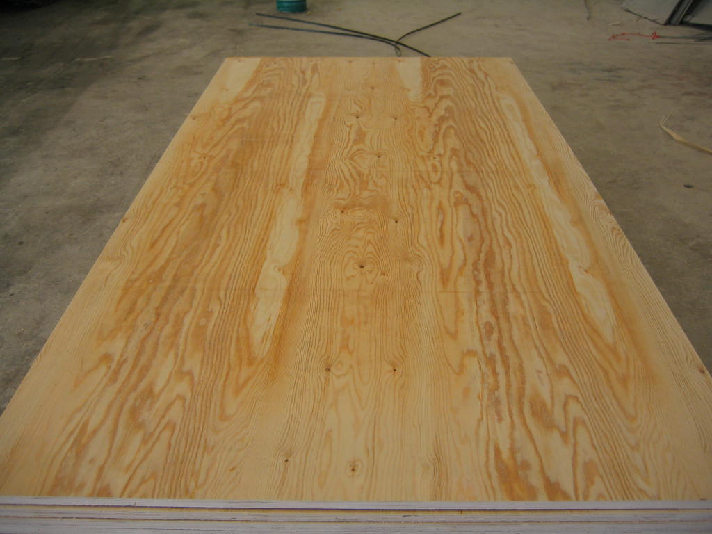 Pine Plywoodϸ