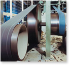 ����������ϸ����