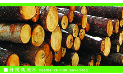 ����鿴ԭľ�巽�Ŵ�ͼƬ