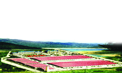 ����鿴����ó�׾�ļӹ����Ŵ�ͼƬ