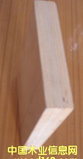 ˫����ľ����ϸ����