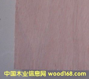 ˫���һ�о����ϸ����