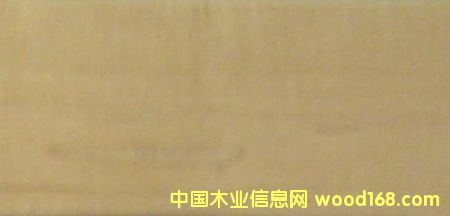 ����鿴��ľ�Ŵ�ͼƬ