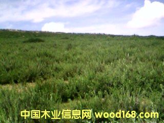 š�� 8����ϸ����