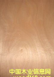 ����鿴OKOUME VENEER�Ŵ�ͼƬ