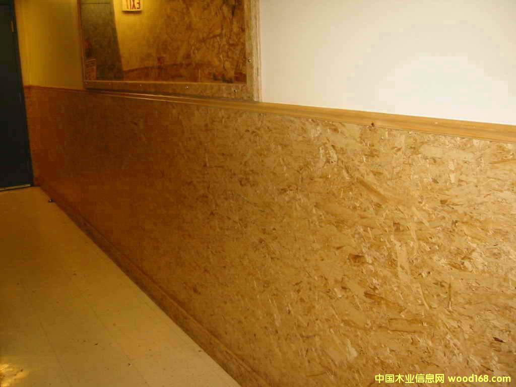 ٻ壨ľƱ¥塢ǽ壩ϸ