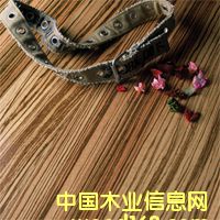 ԶװβϿϵжʵľذ壨ľϸ