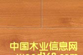 ����鿴����ӣ�ҷŴ�ͼƬ