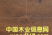 ����鿴������ľ(V�Ͳ�ϵ��)�Ŵ�ͼƬ