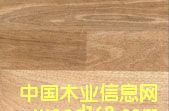 ����鿴��֦(ˮ������ϵ��)�Ŵ�ͼƬ