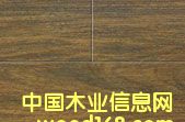 ����鿴�ŵ���̴��Ŵ�ͼƬ