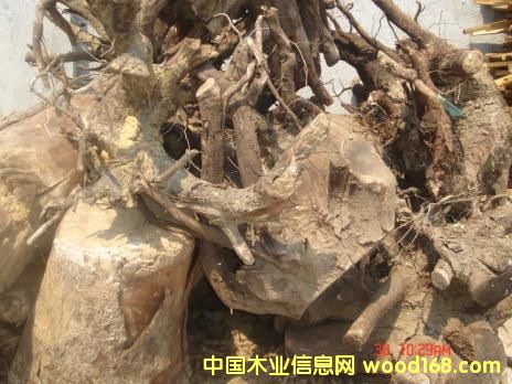 ������������ϸ����