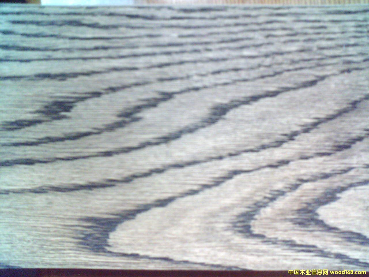 ����鿴���ŵذ�Ŵ�ͼƬ