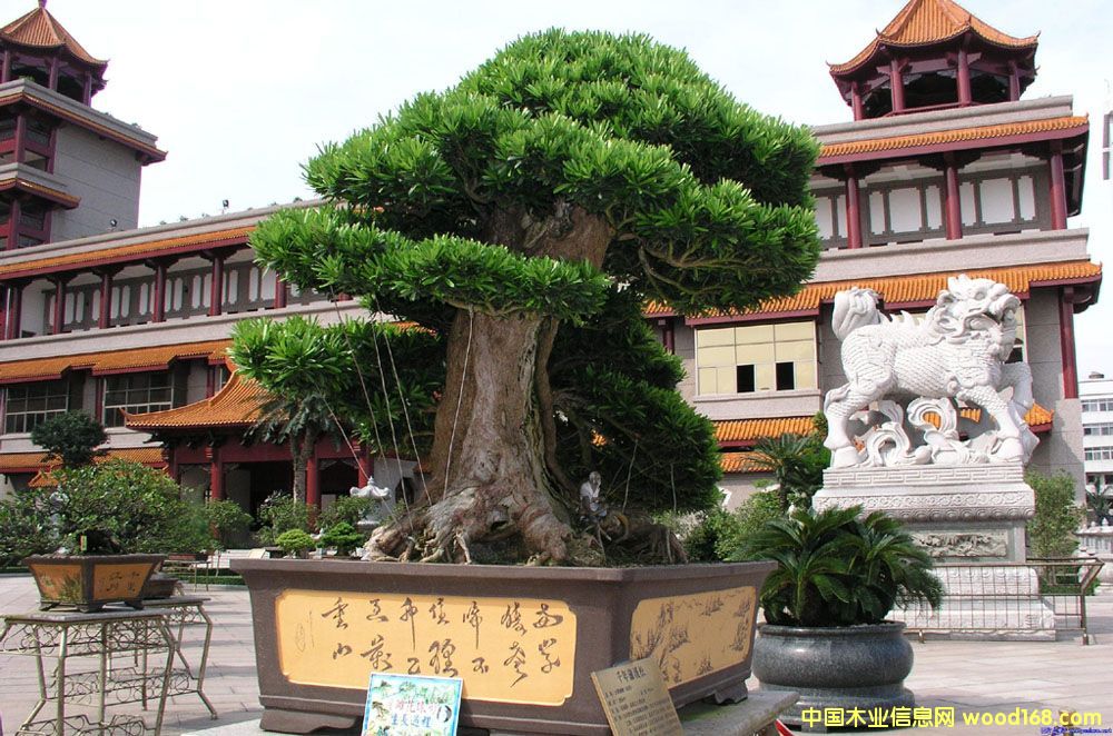 ����鿴�޺��ɷŴ�ͼƬ