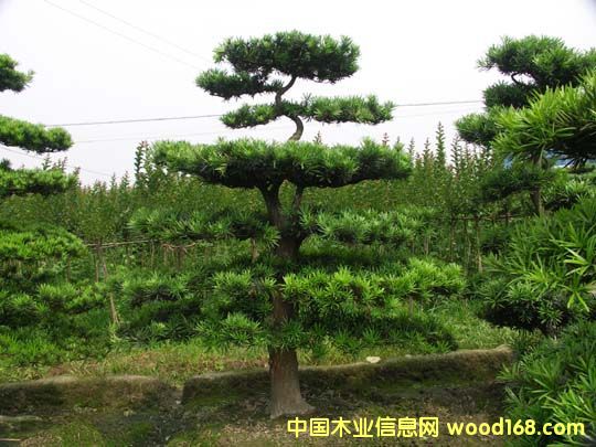 ����鿴�޺��ɷŴ�ͼƬ