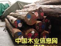 ����鿴�����ľ1092�Ŵ�ͼƬ
