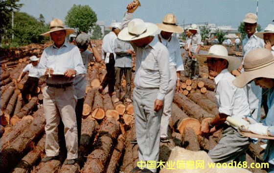 ����鿴�ƻ��ɷŴ�ͼƬ