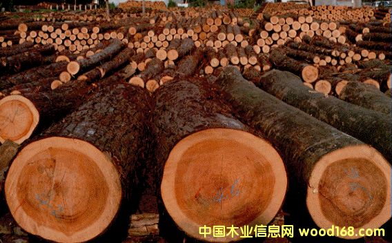 ����鿴���ɷŴ�ͼƬ