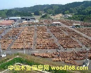 ����鿴ľ�����Ŵ�ͼƬ