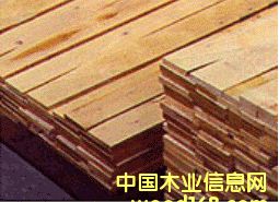 ����鿴��ķŴ�ͼƬ