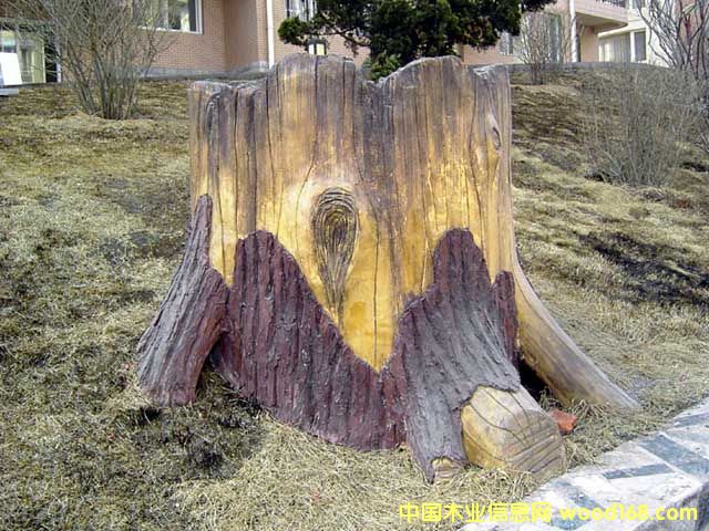 ����鿴������ľ�����Ŵ�ͼƬ