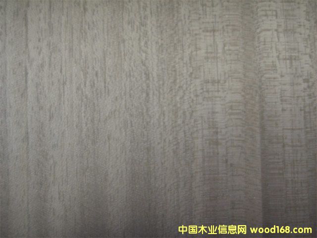 ����鿴�����(EP�ں���)�Ŵ�ͼƬ