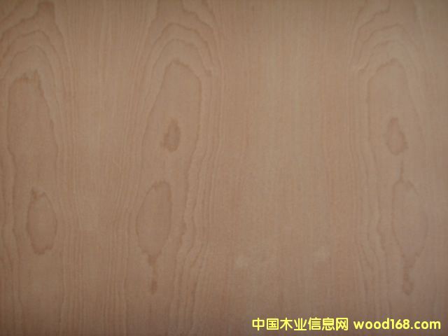 ����鿴�����(��ӣ�һ�)�Ŵ�ͼƬ