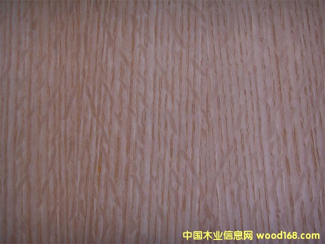 ����鿴�����(����)�Ŵ�ͼƬ