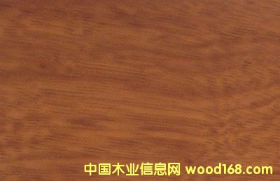 ����鿴ӡ��ľ�Ŵ�ͼƬ