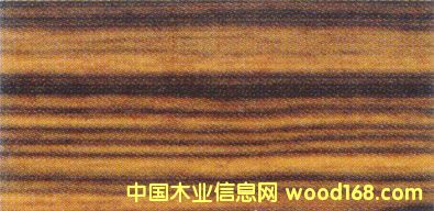 ����鿴������ľ�Ŵ�ͼƬ
