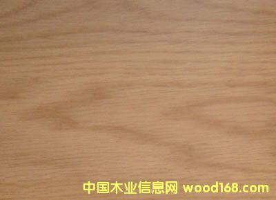����鿴��ľ�Ŵ�ͼƬ