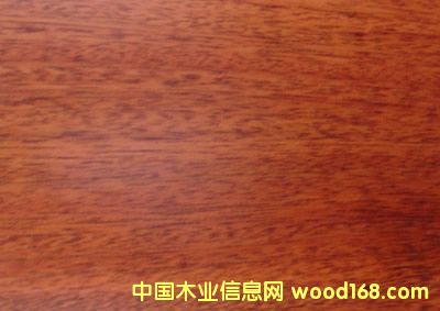 ����鿴Բ�̶��Ŵ�ͼƬ