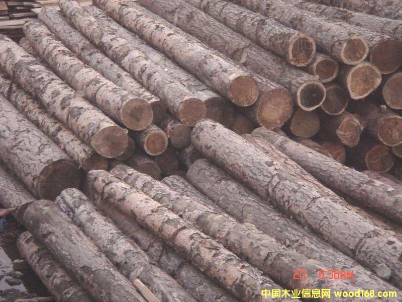 �����ɵ���ϸ����