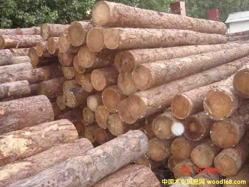 ��Ҷ�ɵ���ϸ����