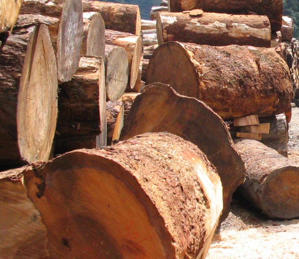 ����鿴��ɼԭľ�Ŵ�ͼƬ