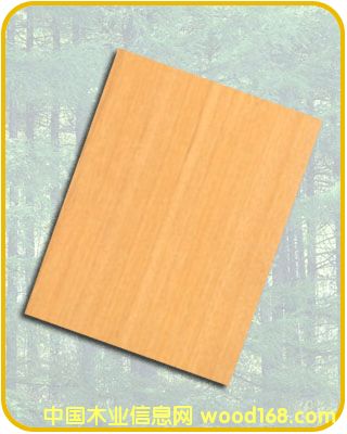 ɽ�𻨵���ϸ����