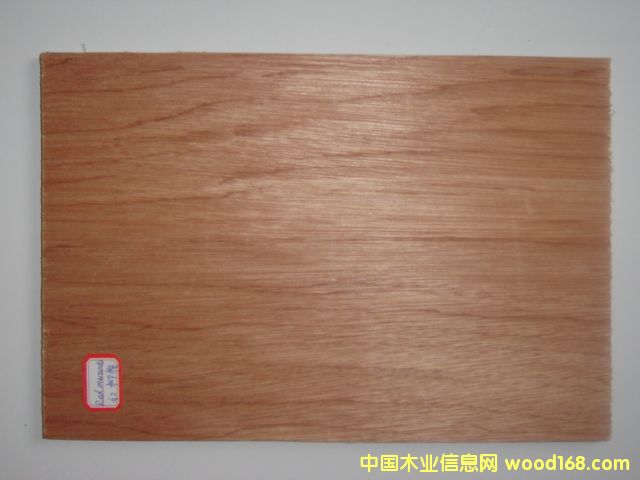 ���ǹ�����ϸ����