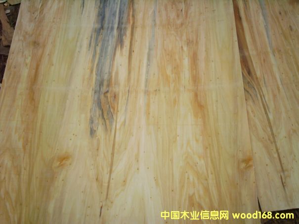 ����鿴��Ŵ�ͼƬ