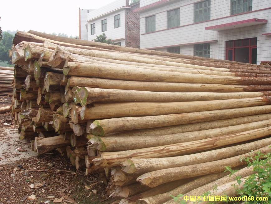 ɼľԭľ����ϸ����