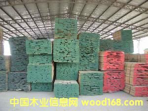 ����鿴�ֻ���Ӧ�������ں��𣫰���Ŵ�ͼƬ