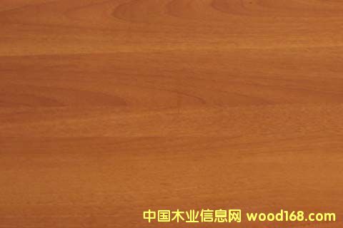 ����鿴���ϵذ�Ŵ�ͼƬ