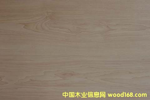 ����鿴���ϵذ�Ŵ�ͼƬ