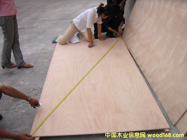 ����鿴okoume plywood�Ŵ�ͼƬ