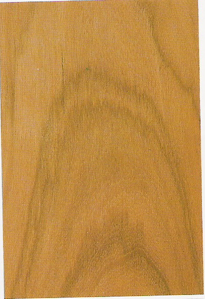 ����鿴�����Ǻ�̴ľ�Ŵ�ͼƬ