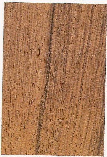 ����鿴�����Ǻ���֦ľ�Ŵ�ͼƬ