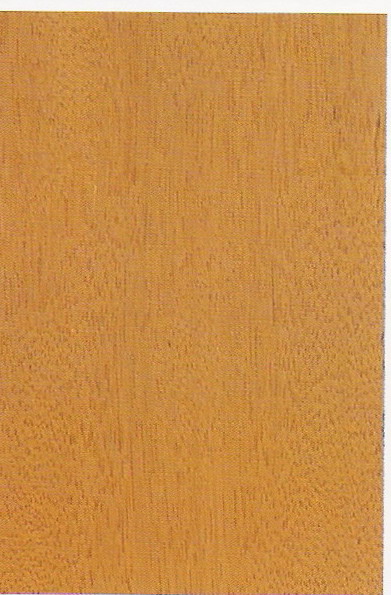 ����鿴���޻ƻ���Ŵ�ͼƬ