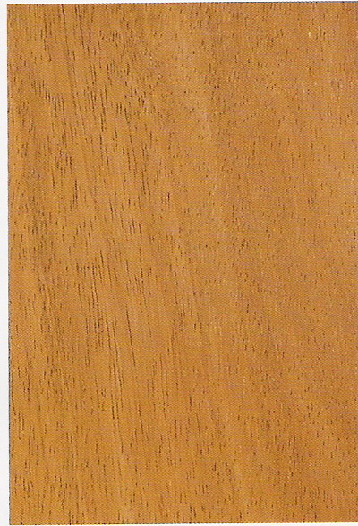 ����鿴��������ľ�Ŵ�ͼƬ