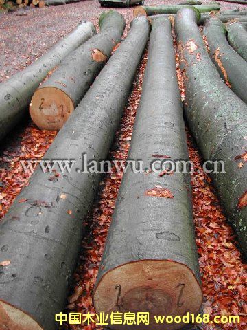 ����鿴�ľ�Ŵ�ͼƬ